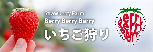 とびきりの「美味しい体験」いちご狩り ストロベリーファーム ベリーベリーベリー